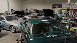 Restorative detailing to save a paint job. Call or text 669-356-4777 for more information.