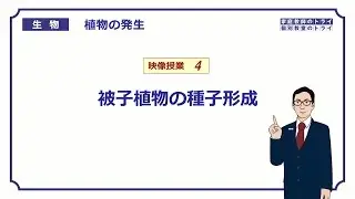 【高校生物】　植物の発生4　被子植物の種子形成（２１分）