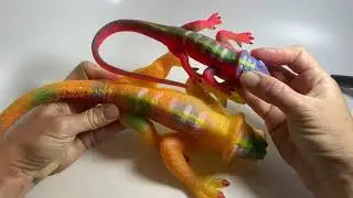 Jumbo grow lizard soak in water toy