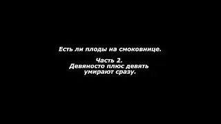 Есть ли плоды на смоковнице. Часть 2. Девяносто плюс девять умирают сразу