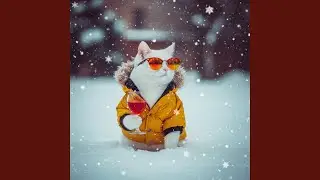 December Promise