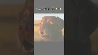 Вот это да, отличный помощник в знакомствах 😂🥀💀