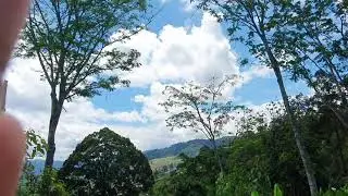 Walk After Lunch | 280321 | Langat Forest | Saumya Adventures