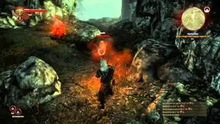 Arvutus: Witcher 2:  Assassins of Kings -Toodz26