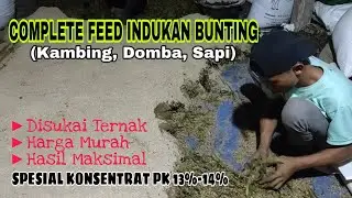 Cara Buat Complete Feed Khusus Indukan Bunting (Kambing Domba Sapi) - Berkah Rojokoyo Farm 2022