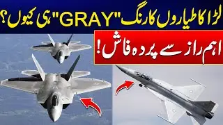 Why Fighter Jets Painted Gray? - Jaw-Dropping Fact Revealed - 24 News HD