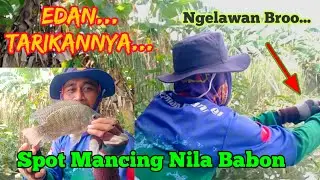 Ganas ...Ikanya...Mancing Nila Babon Disini || Spot Mancing Pertamina
