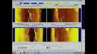 ROV Argus Dive NA111-R1056-20190715T2234UTC-4