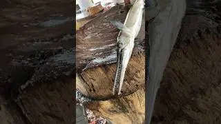 garfish cutting expert😮😮 #fishcuttingskill #fish #garfish #short #shorts