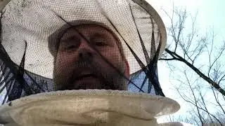 Swarm Harvest Strategy | The Russian Scion