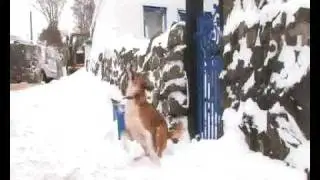 Snow Report from Gerlan