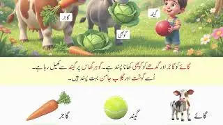 Urdu 4+ Kids Learning | Harf گ | For Students