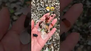 😂 Instagram Vs Reality: The Truth About Glass Beach & Cocoa Beach! #travel #instagram  #reality #vs