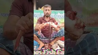 Amazing Great Delicious Pangas Fish Cutting Techniques | Fish Cutting Skills