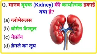 NEET 2026 GK MCQ Questions | NEET GK Important Questions in Hindi | Latest NEET Preparation