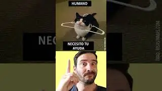 Memes shorts  espa&ntilde;ol 2023 #memes #memesvideo  #shortvideodiscord