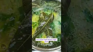 How to make the best Mango leaf cerasee cleanse tea? #shorts