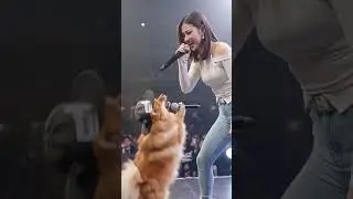 😱Cute Darling 😋 | #trendingshorts #viralshorts #viralvideos #trendingvideo #dance #animals