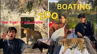 Two tiger in one frame🐅😂,kaile na dekheko animal dehiyo😱||Vlog-49@sahilkhapungLimbu