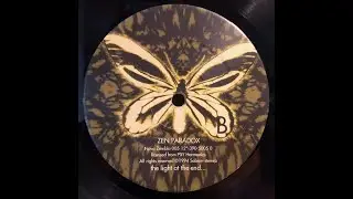 Zen Paradox &ndash; Say Goodbye To The Dark Place (Remix)