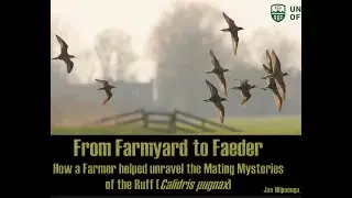 Bird Study From Farmyard to Faeder 25.10.22