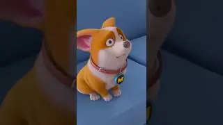New Funny Cartoon video॥Moco Dog Cartoon #short#funny
