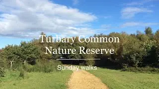 Turbary Common local nature reserve