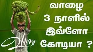 வாழை 3 நாளில் இவ்ளோ கோடியா ?  | Vaazhai | Kottukkaali | Thangalaan | Demonte Colony 2