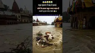 mathura-brandaban flood update | मथुरा में बाढ़ से लोग परेशान | #mathura #mathuravrindavan #panjab