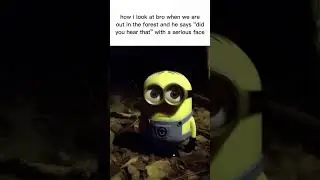 Meme #memes #funny #forest #scary #minion #fyp