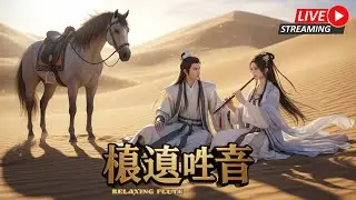 Pure Tranquility 纯净静心 &bull; Live Relaxing Flute Instrumental for Meditation & Sleep