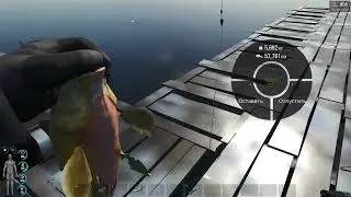 SCUM 2022 11 21   00 15 49 18