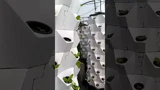 #hydroponic #system #pineappletower #vegetables #farming #garden #soiless #gardening #aeroponic #NFT