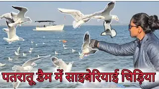 Patratu Valley | Patratu Dam & Lake Resort | Siberian Bird |  पतरातू घाटी |