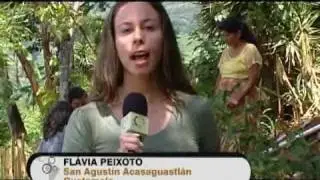 FAO 2007: Programa de Seguridad Alimentaria en Guatemala.
