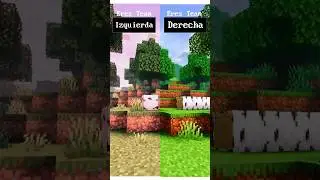 De que SHADER eres Team? #shadersminecraft