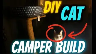 DIY SUV Cat Camper Build | Nomad Life with Pets