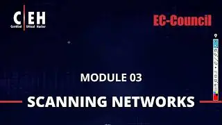 Day 7   TCP, UDP and Router Components