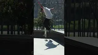 Wallride mid grey black skatepark LC1    Willy