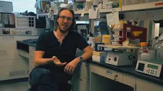 Meet GCI trainee Shawn McGuirk