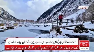 After Snowfall View Shahi Bagh | Utror Valley Gabral Swat | Kalam | Hum News