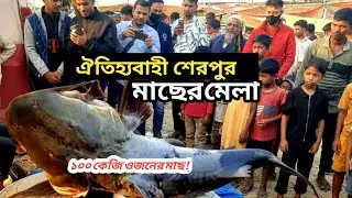প্রজন্ম থেকে প্রজন্ম শেরপুর মাছের মেলা ঐতিহ্য ধরে রেখেছে | Sherpur Moulvibazar Fish Mela 2026