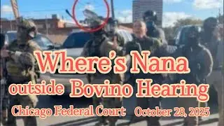 10_28_2025 #chicago #jbpritzker #immigration #courthouse #borderpatrol #judge #nonlethalweapons