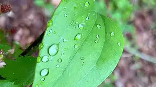 Live Life Outside! It&rsquo;s prettier out there😉🌱🍀🐞