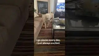 @motosurfdad: #dog #doglover