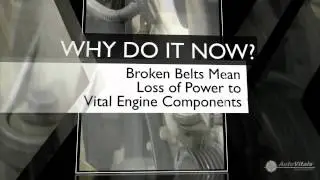Pellman's Automotive Service - Serpentine Belt Service Recommendation