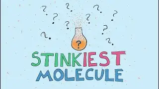 Curious Case of the Smelliest Molecule