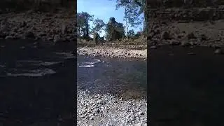 Nomora picnic video 31-12-2017