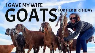 Hiking With Goats In Pioneertown