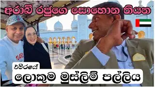 පල්ලිය වටේ අපිව එක්කන් ගියේ ලංකාවෙ වජිර |sheikh zayed grand mosque abudhabi